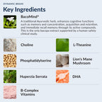 Stonehenge Health Dynamic Brain Supplement – New Formula with BacoMind for Memory Acquisition, Retention, & Recall with 40 Unique Nootropic: Choline, Phosphatidylserine, and Huperzine A