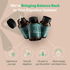 BIOMA Probiotics for Digestive Health & Weight Management – 3-in-1 Gut Support (60 Capsules)