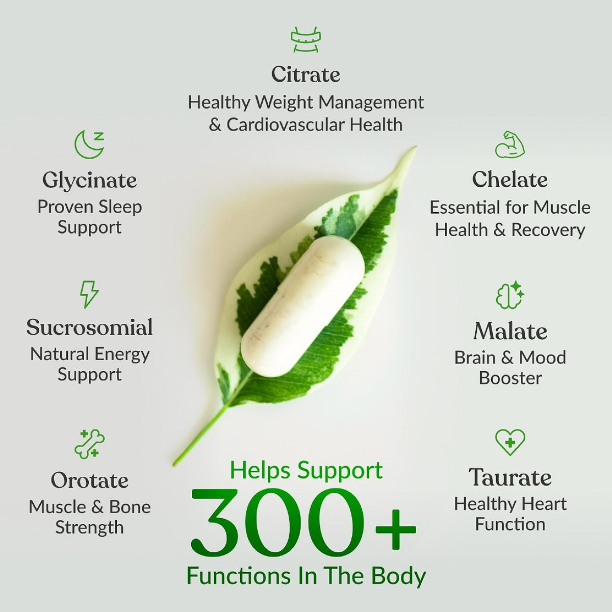 BIOptimizers Magnesium Breakthrough Supplement with 500mg - 7 Forms of Magnesium: Glycinate, Malate, Citrate, and More - Natural Support for Sleep and Cognitive Function