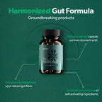 BIOMA Probiotics for Digestive Health & Weight Management – 3-in-1 Gut Support (60 Capsules)   (90-Day Supply)