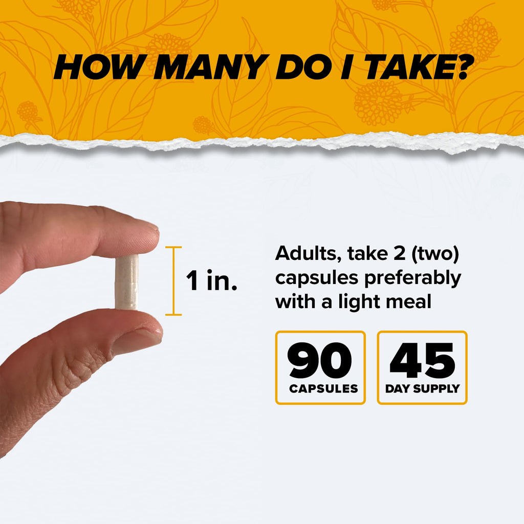 ONNIT Alpha Brain Nootropic Brain Supplement for Men & Women | Memory, Mental Clarity & Cognitive Improvement | Focus Capsules with L-Theanine, Vitamin B6 & Phosphatidylserine (90 Count)