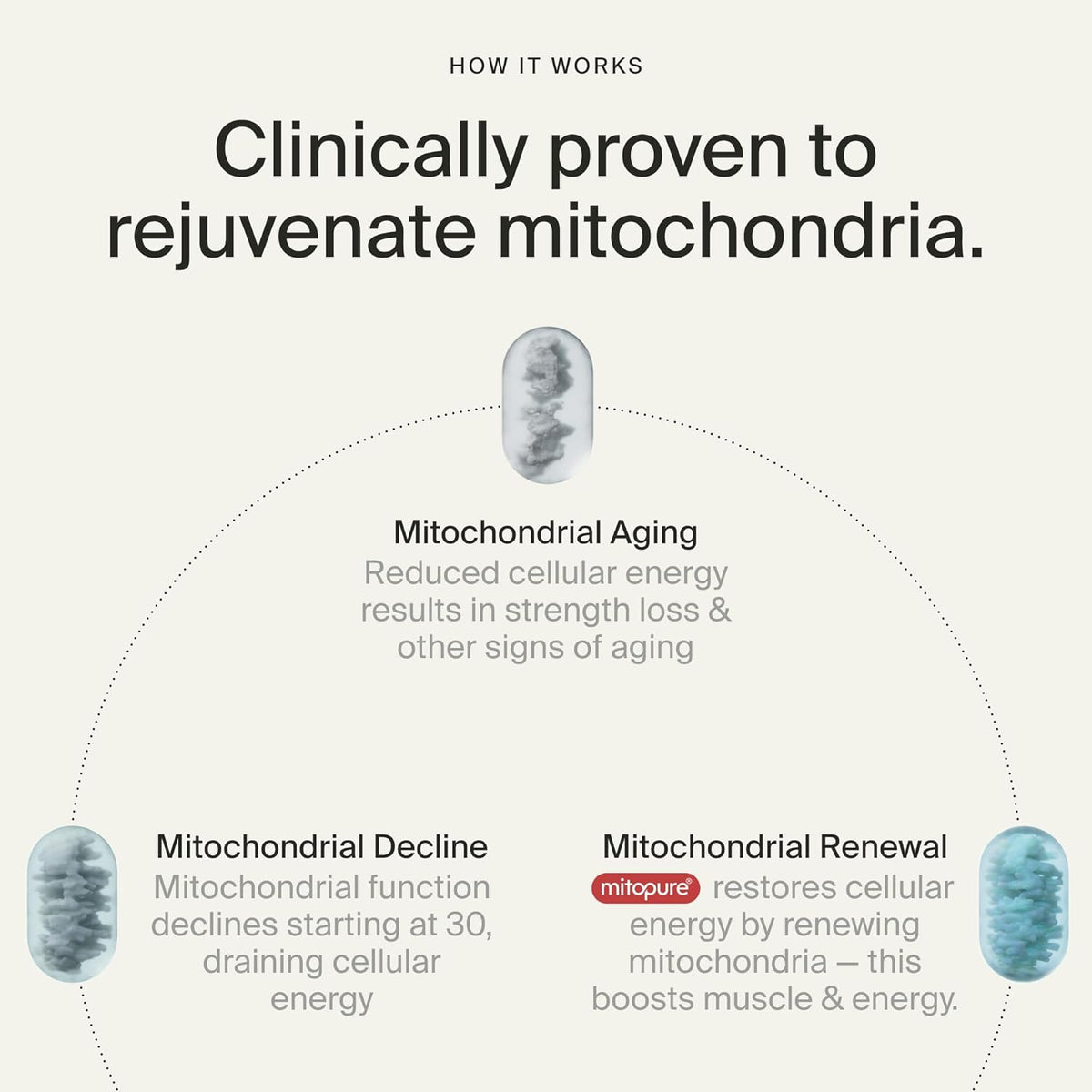 Time-Line Mitopure Urolithin A Longevity Supplement 60 Softgels – Cellular Energy Support