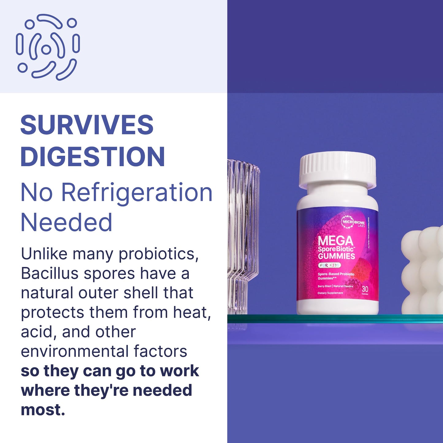 Microbiome Labs MegaSporeBiotic Probiotics for Women & Men