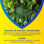 MacuShield Original+ For Eye Health - Food Supplement with Lutein, Meso-Zeaxanthin, Zeaxanthin & Vitamin B2 (90 Day Pack)