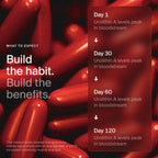 Time-Line Mitopure Urolithin A Longevity Supplement 60 Softgels – Cellular Energy Support