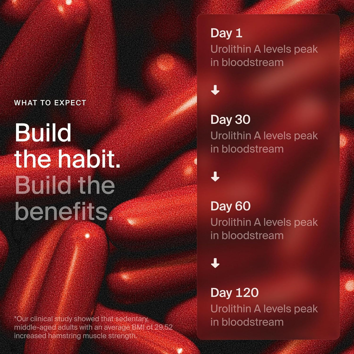 Time-Line Mitopure Urolithin A Longevity Supplement 60 Softgels – Cellular Energy Support
