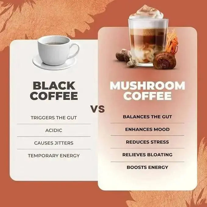 RYZE Mushroom Coffee Pack of 3 | 6 Adaptogenic Mushrooms | Organic | Instant Coffee | MCT Oil | Better Energy, Focus, Digestion, Immunity | Cordyceps, Lion’s Mane, Shiitake, Reishi, Turkey Tail, King Trumpet - Jia Sales